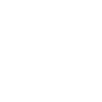 Features Icon