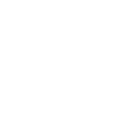 Features Icon