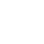 Features Icon